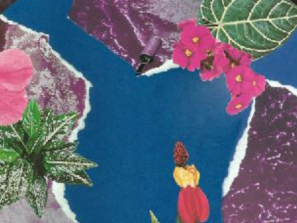 cropped-planeta-para-jorge-1