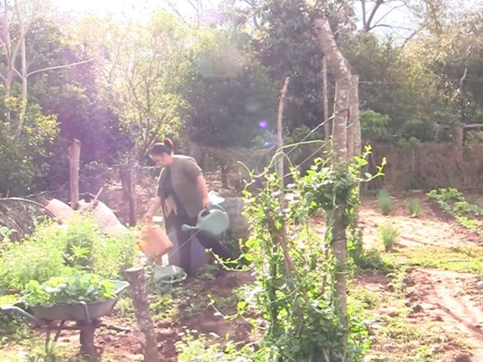 mujeres-agro