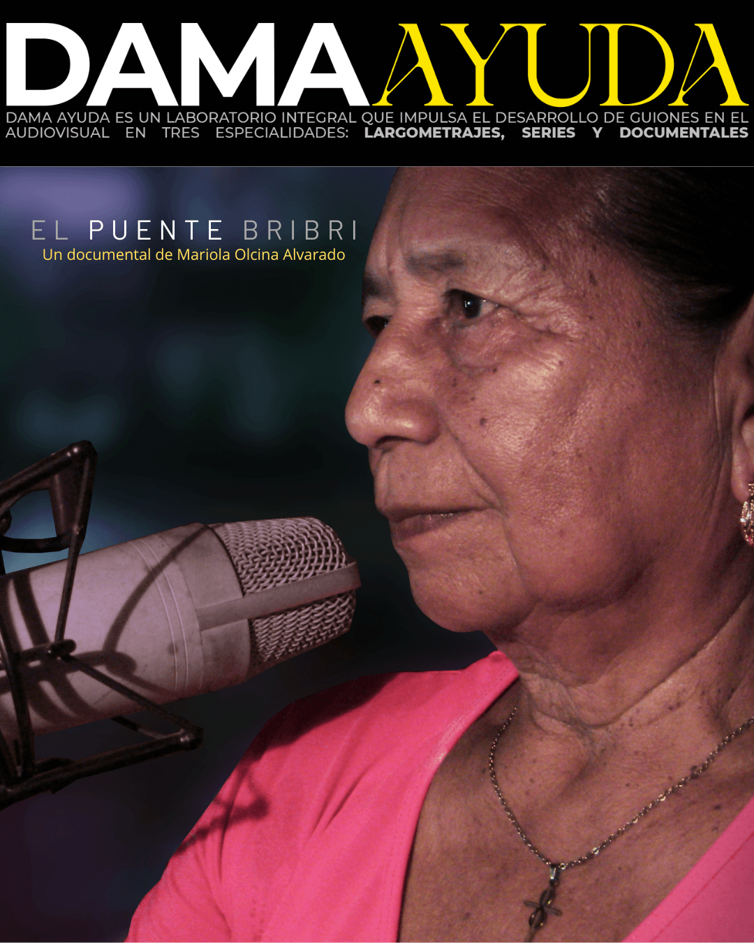 El puente bribri seleccionado en DAMA Ayuda